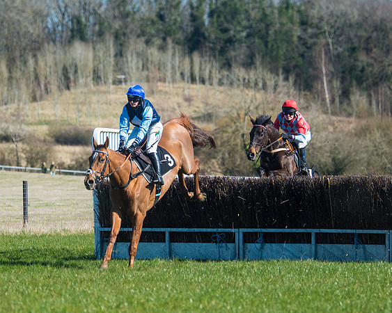 Race 2 - Warwick racecourse conditions  (18 of 122)