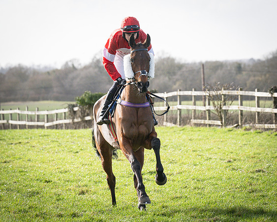 Race 5 - Home counties Grand National (37 of 194)