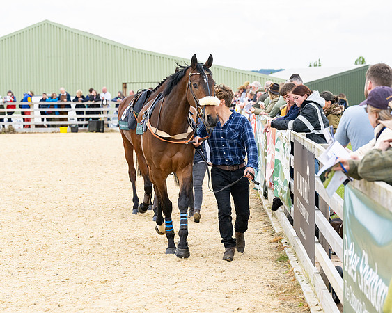 Race 2 - 2M4F Conditions (7 of 195)