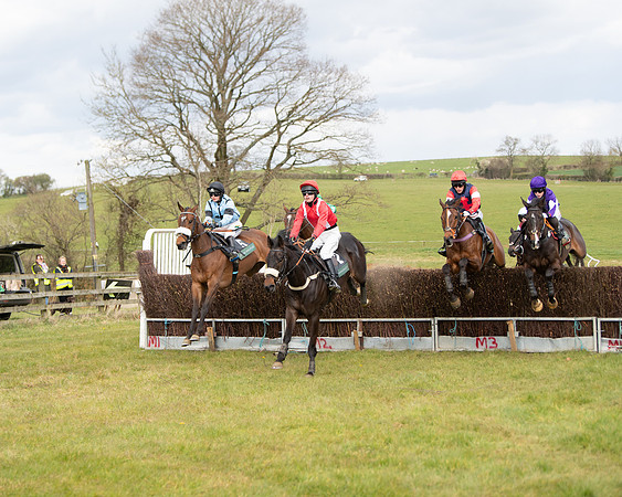 Race 2 - Young Horse Maiden (39 of 104)