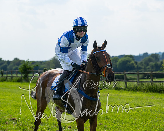 Race 5  - Maiden race 2m5F Div-1 (92 of 197)
