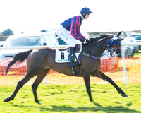 Race 2 - Open Maiden Div 2 (5 of 124).jpg