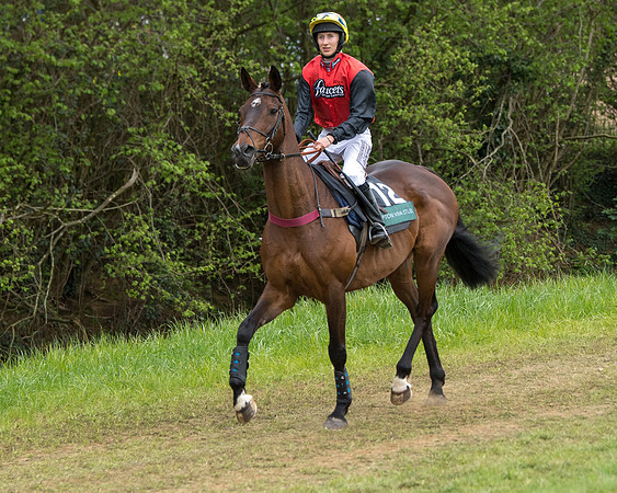 Race 6 - Restricted (8 of 173)