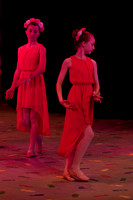 Rose Petals 24
