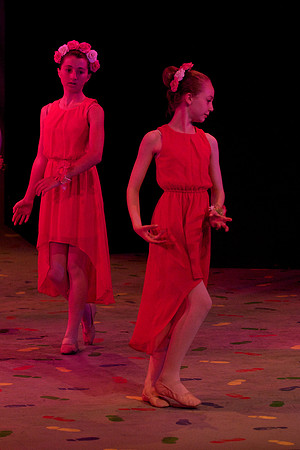 Rose Petals 24