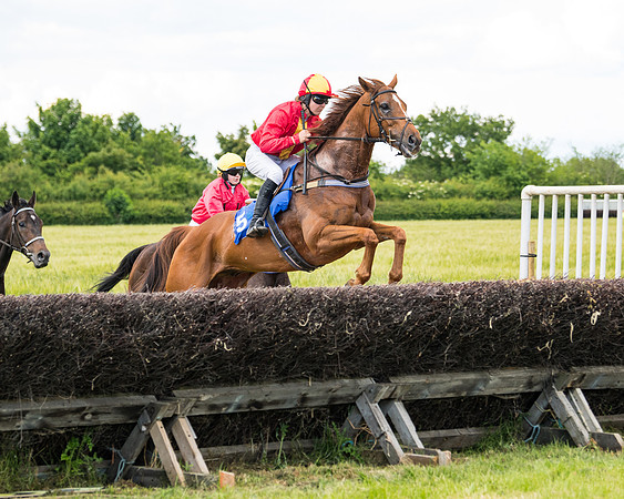 Race 5 - Restricted  (41 of 136)