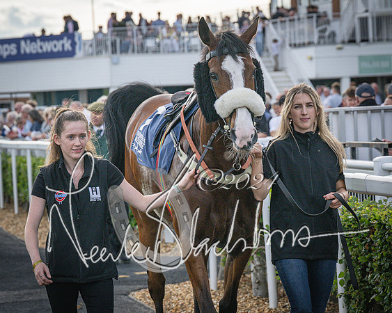 Race 3 - The pointtopoint.co.uk champion novices’ Hunter Chase (20 of 140)