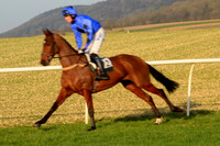 Race 6 - Restricted 18