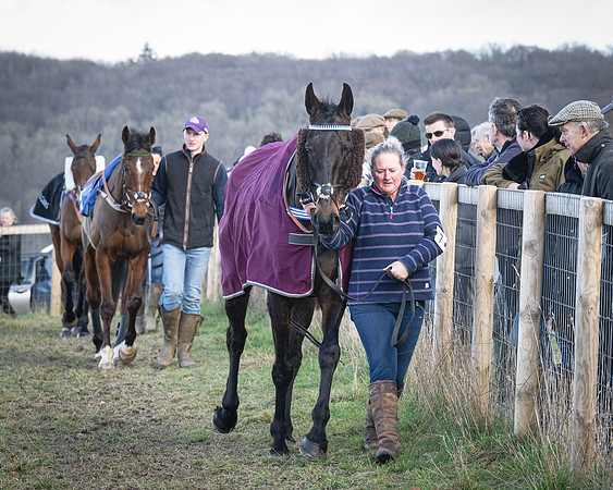 Race 5 - Home counties Grand National (9 of 194)
