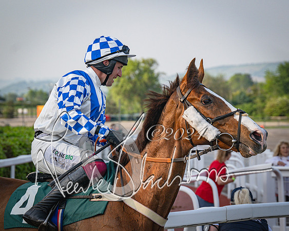Race 4 - The Jonathan Neesom memorial open Hunter’s steeplechase 3m2f 70y (32 of 167)