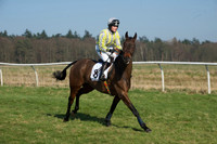 Races 2 - Conditions 13