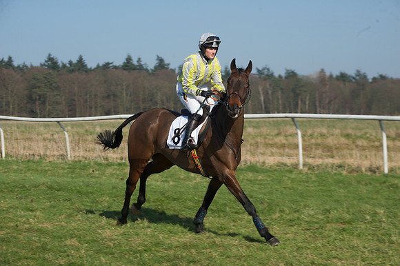 Races 2 - Conditions 13