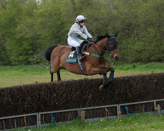 Race 2 - Jockey Club ROR veteran Horse (36 of 104)