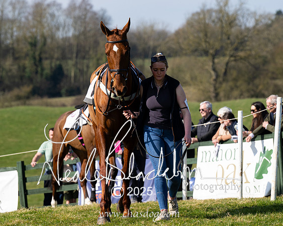 Race 1 - Maiden (8 of 188)