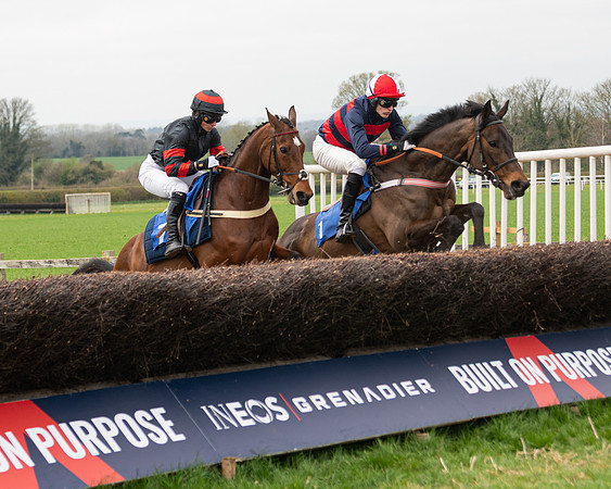 Race 2 - Veteran Horse (26 of 153)