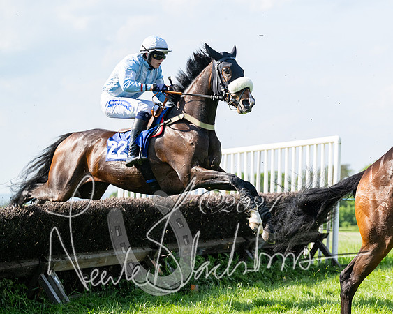 Race 5  - Maiden race 2m5F Div-1 (133 of 197)