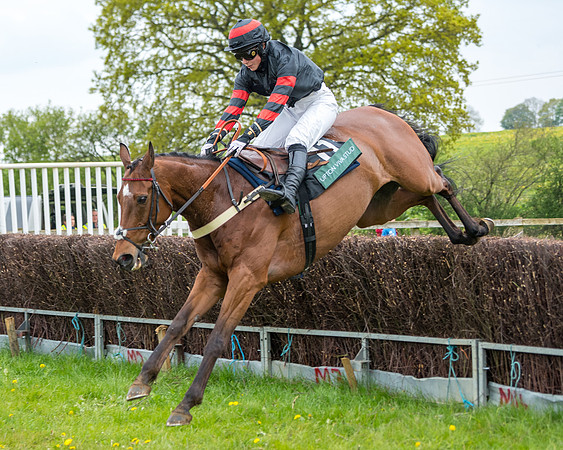 Race 2 - Jockey Club ROR veteran Horse (78 of 104)