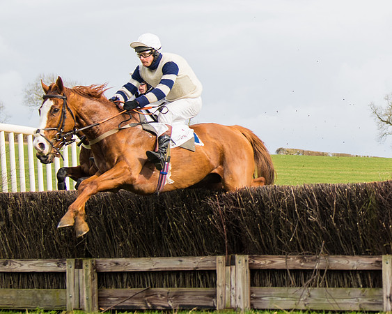 Race 3 - Restricted  (32 of 100)