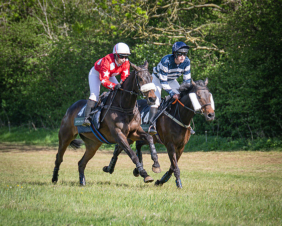 Race 5 - F N Pile and Sons PPORA Novice Riders (50 of 151)