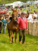 Old Berks at Lockinge Confined Hunts Race