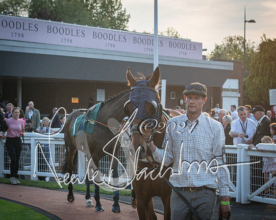 Race 6 - The Brooklands watches Golden Miller chronograph open hunter’s steeplechase 4m 97y (25 of 396)