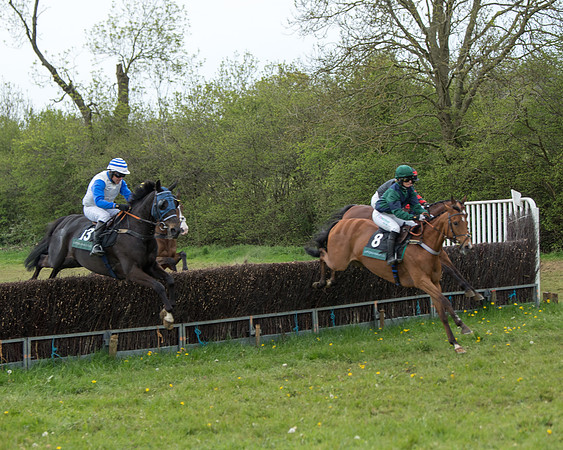 Race 2 - Jockey Club ROR veteran Horse (33 of 104)