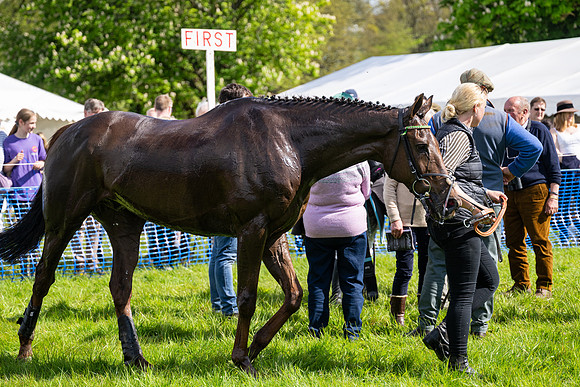 Race 4 -  2M4F Conditions  (100 of 102)
