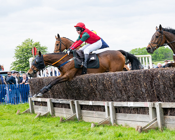 Race 2 - Veteran Horse (16 of 80)