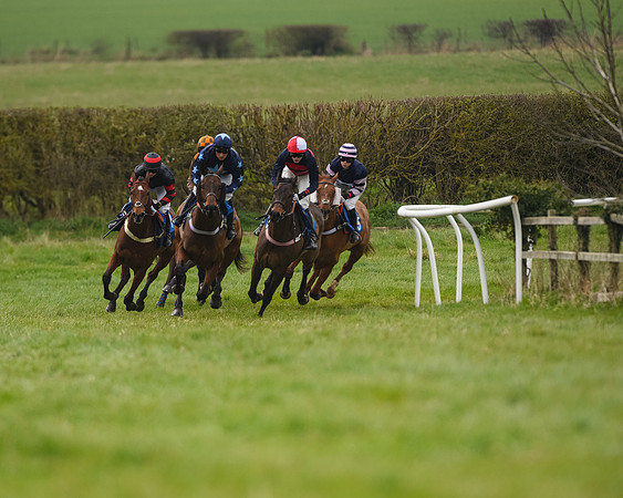 Race 2 - Veteran Horse (48 of 153)