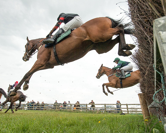 Race 2 - Jockey Club ROR veteran Horse (43 of 104)