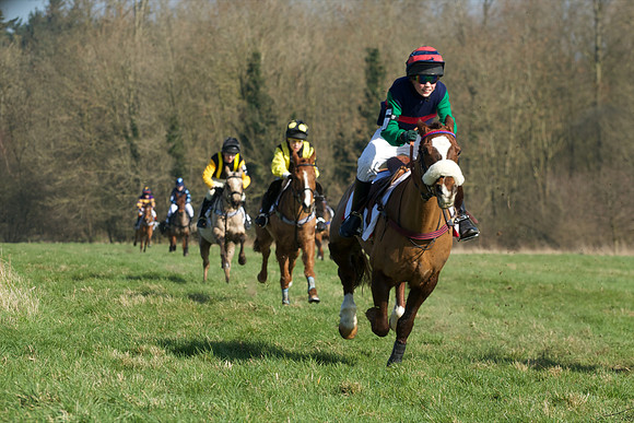Pony Races -  25