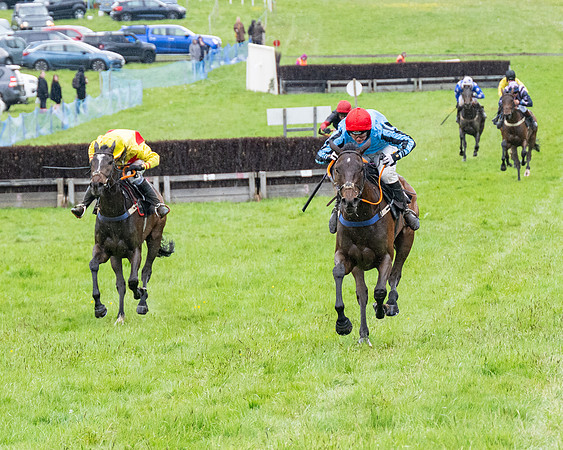 Race 8 - Bumper Div 2 (53 of 84)