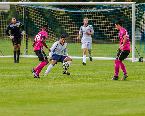 edsv 6-0 191016 (87 of 257)