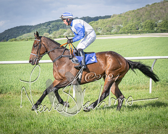 Race 6 - Thorn Plant Hire Maiden Race (34 of 129)