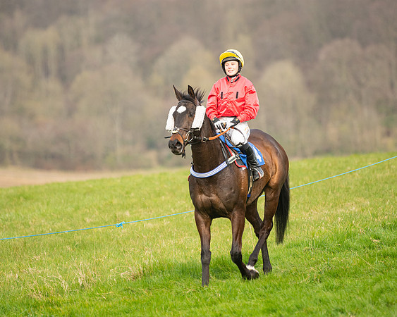 Race 6 - The Restricted Race (75 of 200)