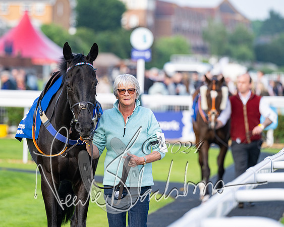 Race 4 - Stratford Foxhunters (11 of 145)