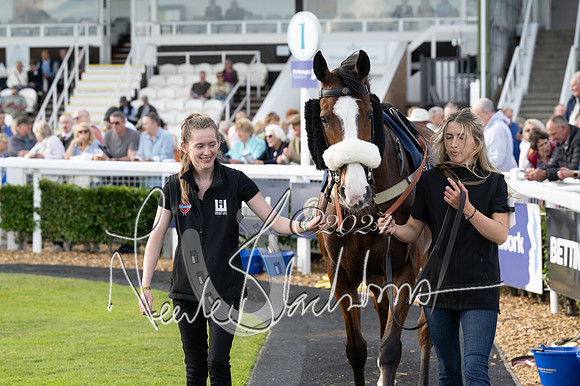 Race 3 - The pointtopoint.co.uk champion novices’ Hunter Chase (45 of 140)