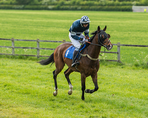 Race 6 - Maiden [2m4f] (20 of 135)