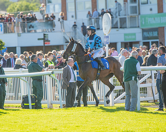 Race 3 - John Corbet Cup (5 of 88)