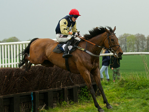 Old Berks at Lockinge Mixed Open Race
