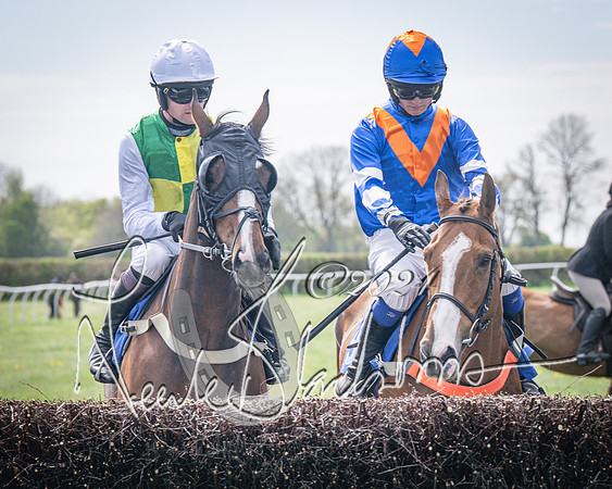 Race 2 - The Elliott of London maiden race (34 of 137)