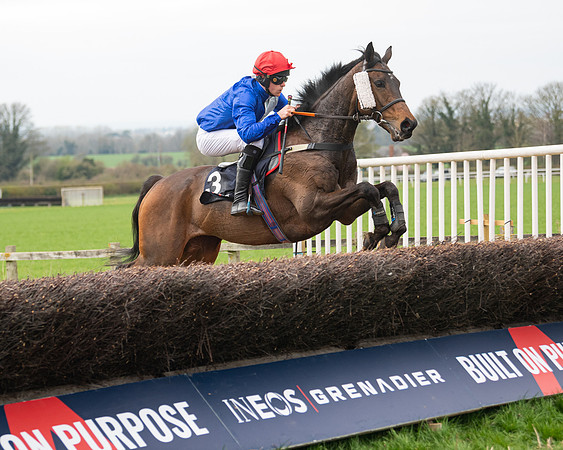 Race 5 - The Ineos Home Counties Grand National (55 of 133)
