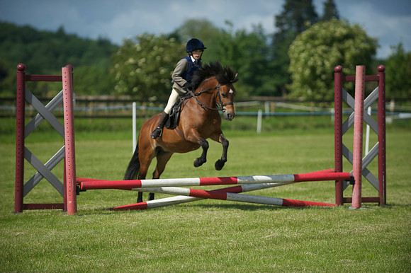 SOHS PC Summer Show at BCA 17th June 2012