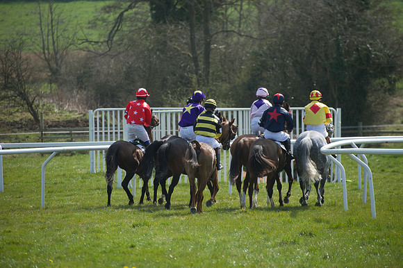 Pony Race 3 -  30