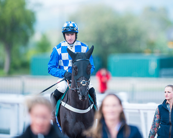 Race 1 - The open Hunter chase  (44 of 95)