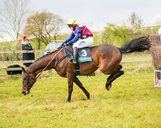 Race 5 - Restricted  (58 of 118)