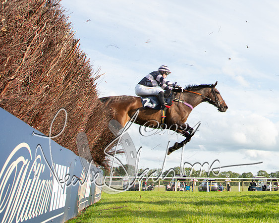 Race 3 - The pointtopoint.co.uk champion novices’ Hunter Chase (101 of 140)