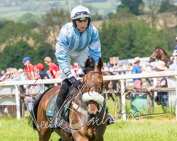 Race 2 - The Maiden  (75 of 442)