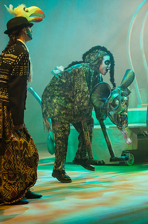Lion King (154 of 484).jpg