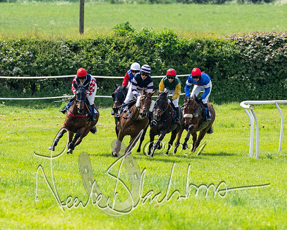 RAce 1 - Conditionsn [Level 2] (124 of 219)